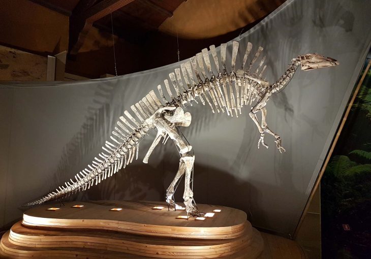 Museo di storia naturale