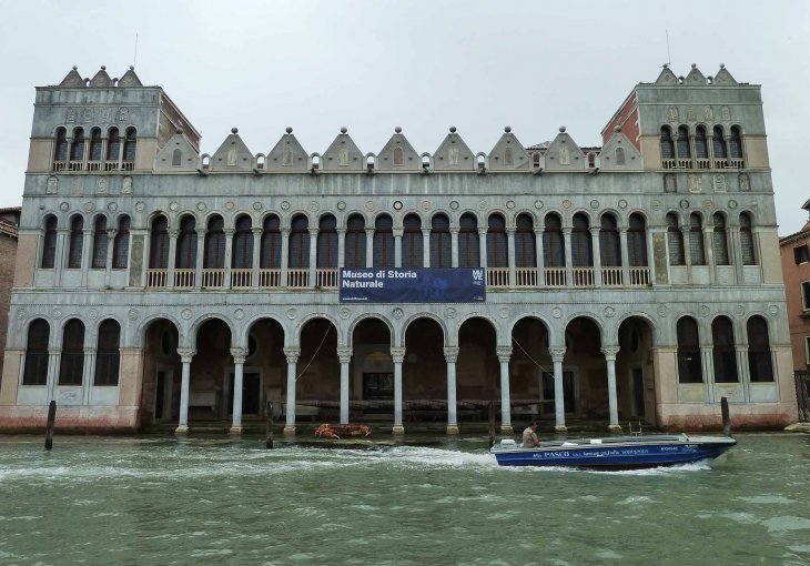Museo storia naturale di Venezia, esterno