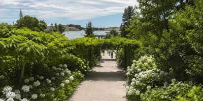 Giardini_nascosti_di_Venezia